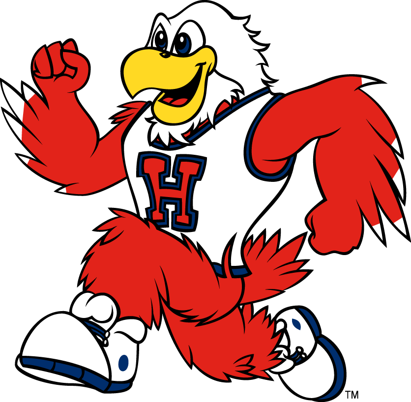 Hartford Hawks 1995-Pres Mascot Logo 08 iron on paper